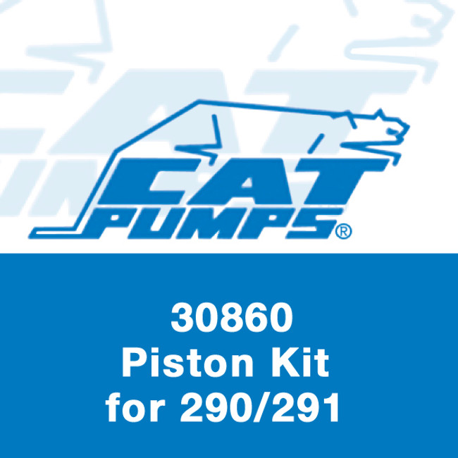 Piston Kit for 290/291 Pumps, Cat Pumps 30860