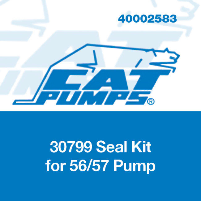 Seal Kit for 56/57/59/60 Cat Pumps 30799