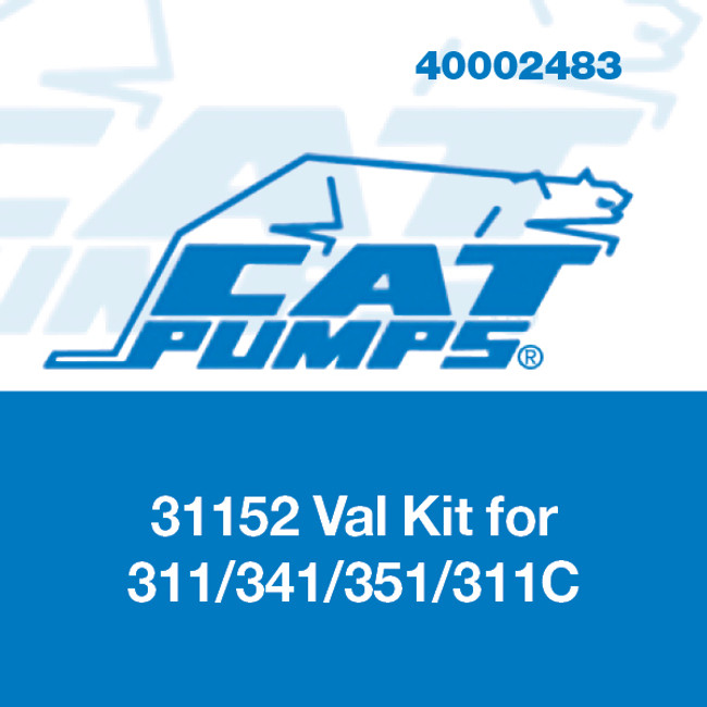 Valve Kit for 311/341/351/311C Pumps, Cat Pumps 31152