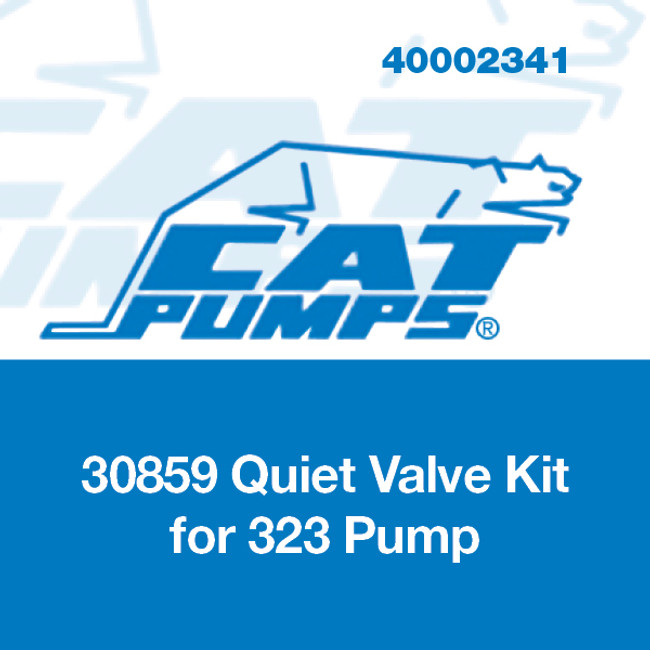 Quiet Valve Kit for 323 Pump, Cat Pumps 30859