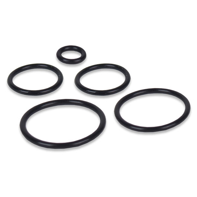 Hydra-Cannon Valve O-Ring Repair Kit, 1001155