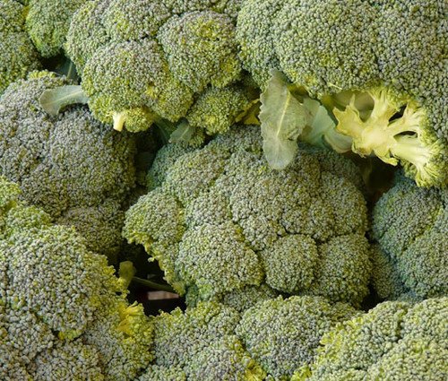 Broccoli Waltham 29 Brassica Oleracea Seeds