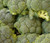 Broccoli Waltham 29 Organic Brassica Oleracea Seeds