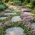 Creeping Thyme Dwarf Thymus Serpyllum Seeds  2