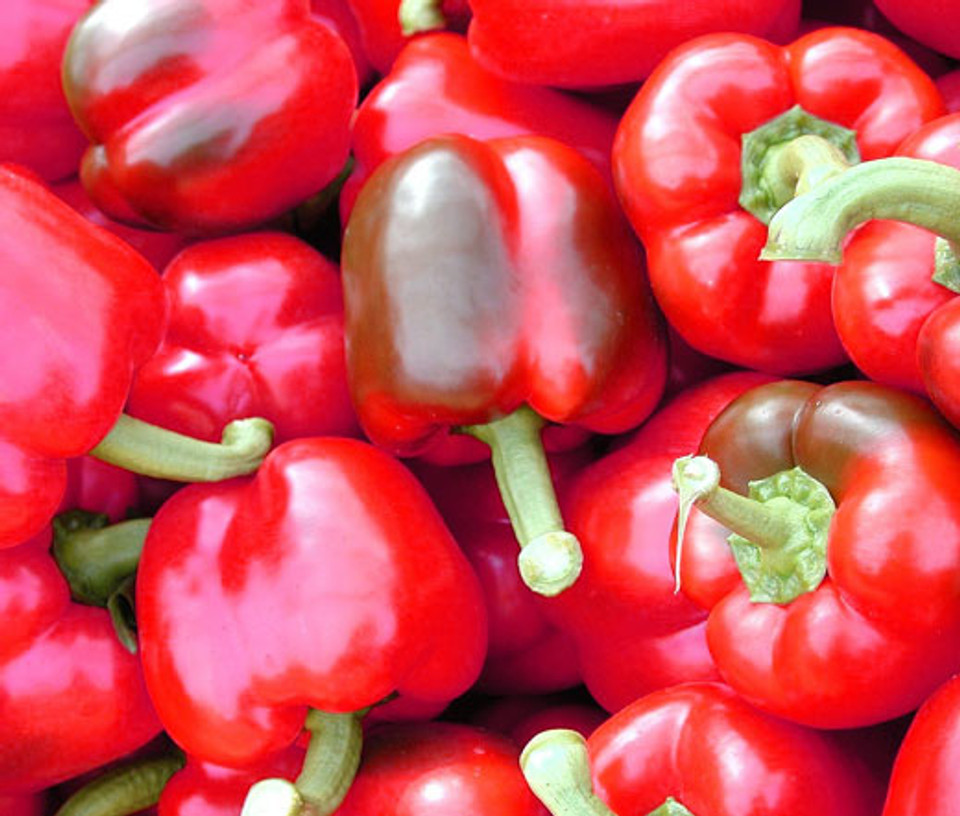 Pepper Pimento Organic Capsicum Annuum Seeds 3735