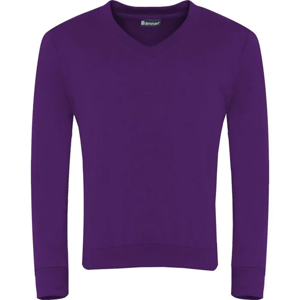 Select V-Neck Sweatshirt (Banner)