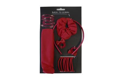 Large School Hair Accessory Set – Complete Back-to-School Hair Pack (William Turner )