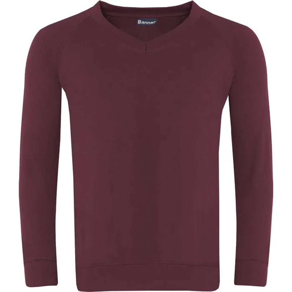 Classic V-Neck Sweatshirt (Banner)