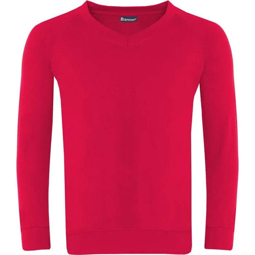 Classic V-Neck Sweatshirt (Banner)