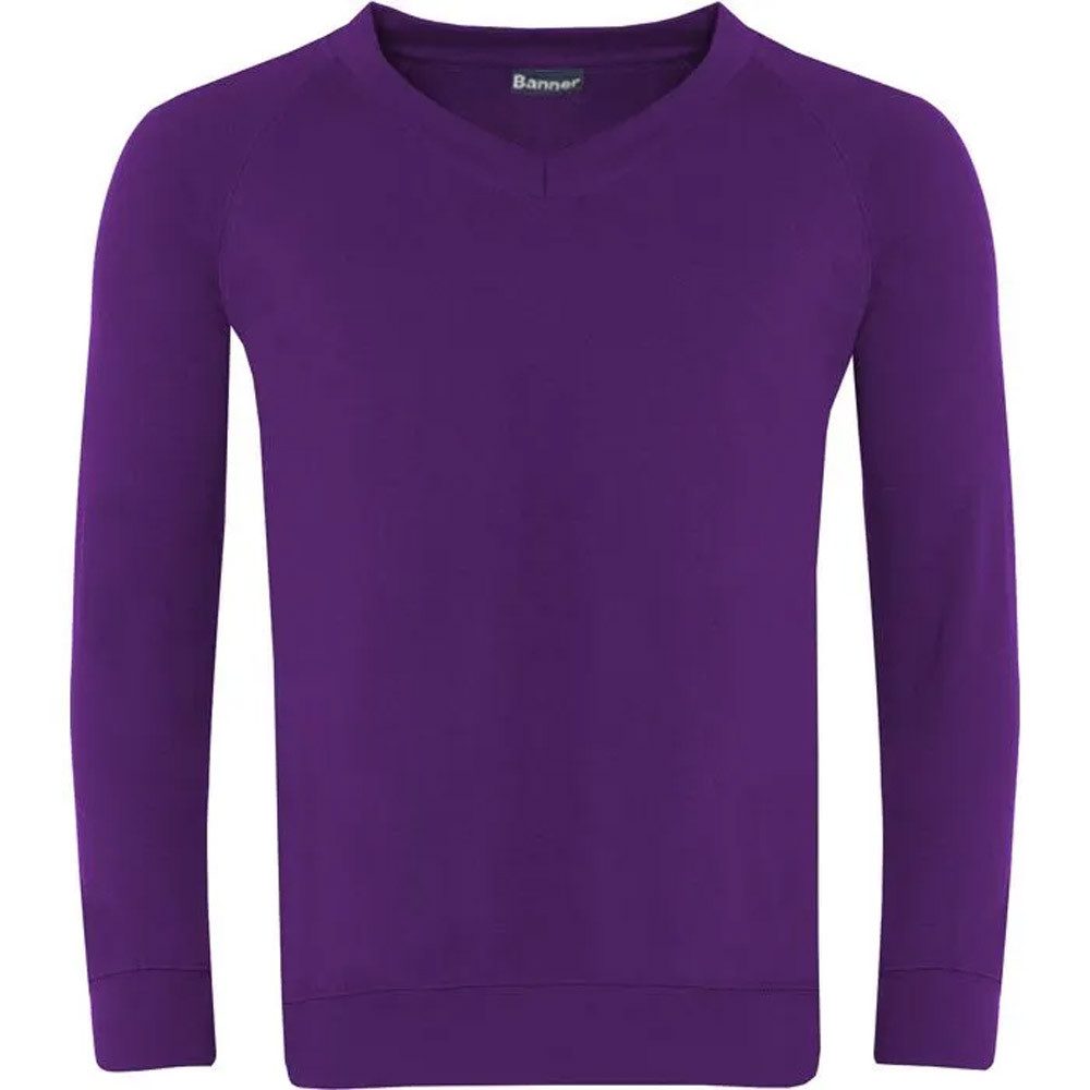 Classic V-Neck Sweatshirt (Banner)