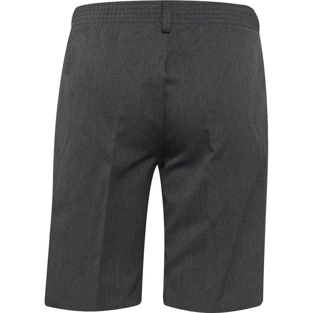 Essex School Shorts (Banner)