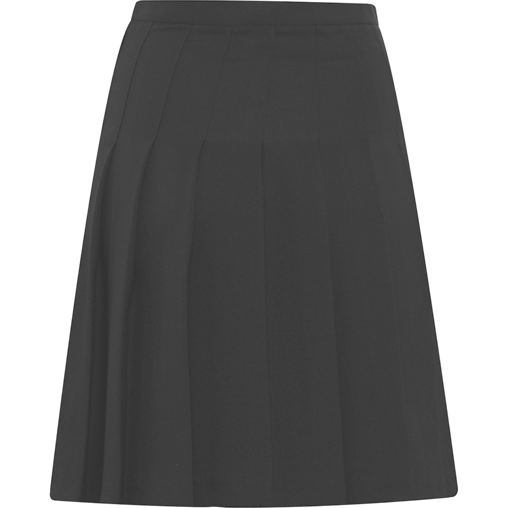 Designer Pleated Skirt (Banner)