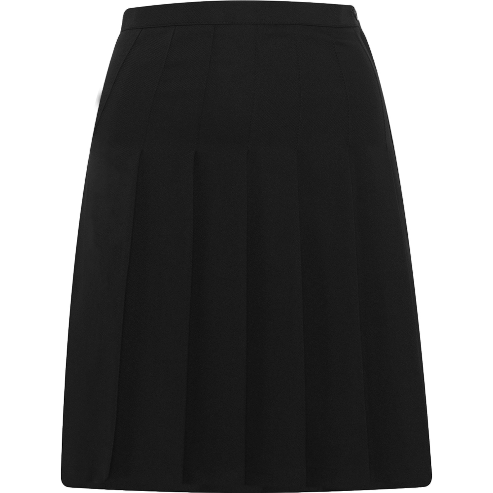 Designer Pleated Skirt (Banner)