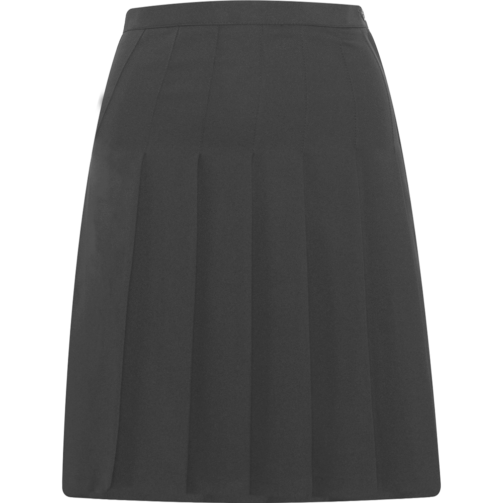 Designer Pleated Skirt (Banner)