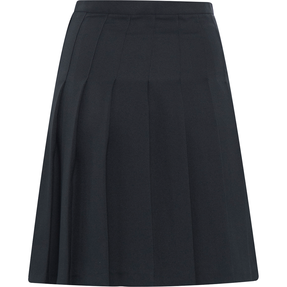 Designer Pleated Skirt (Banner)
