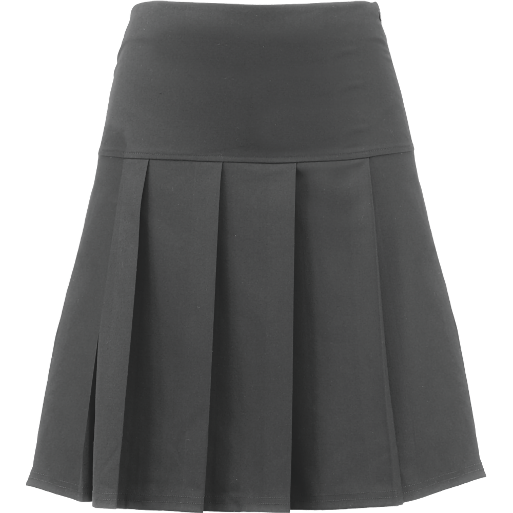 Senior Panel Full Pleated Skirt (Banner)