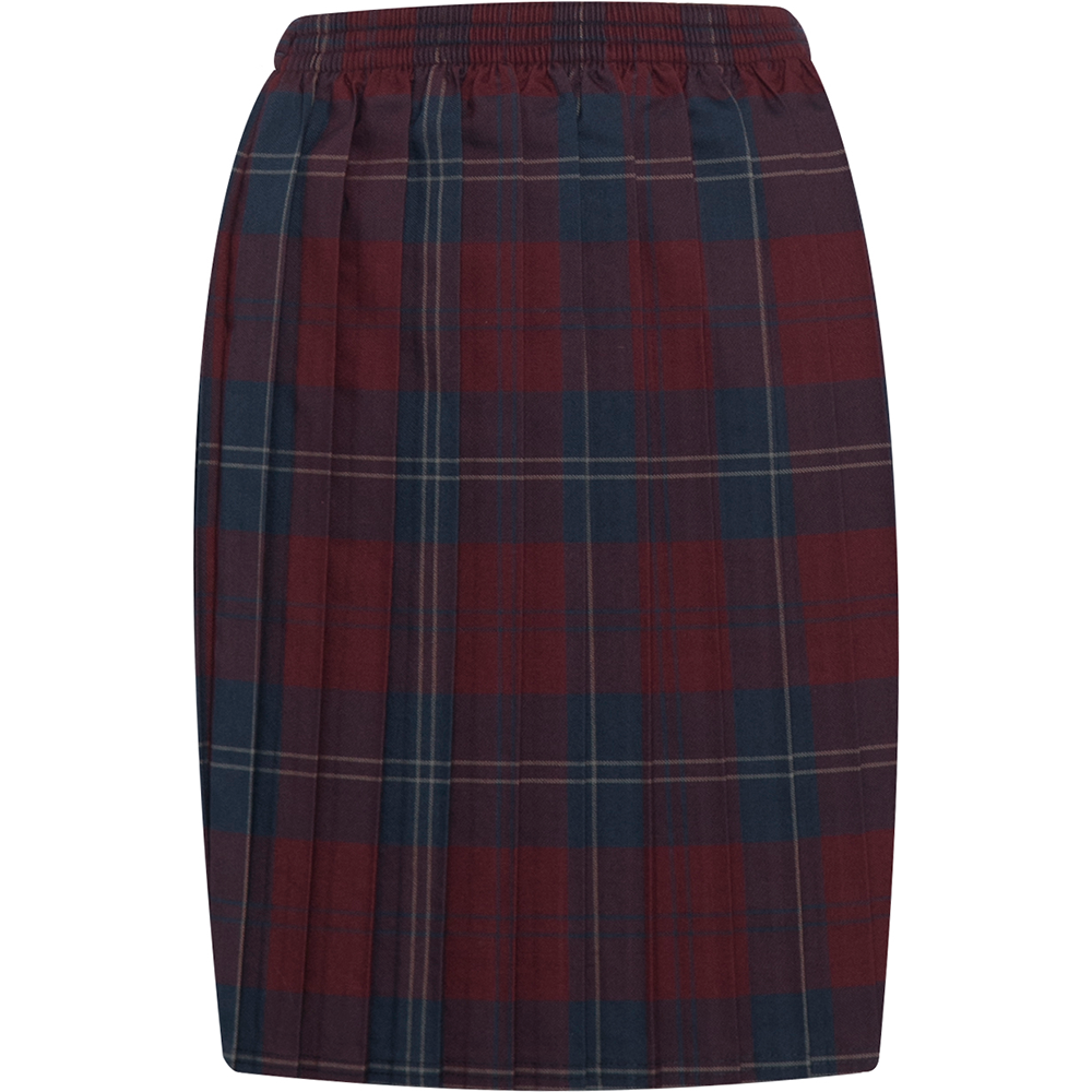 Skye Tartan Skirt (Banner)