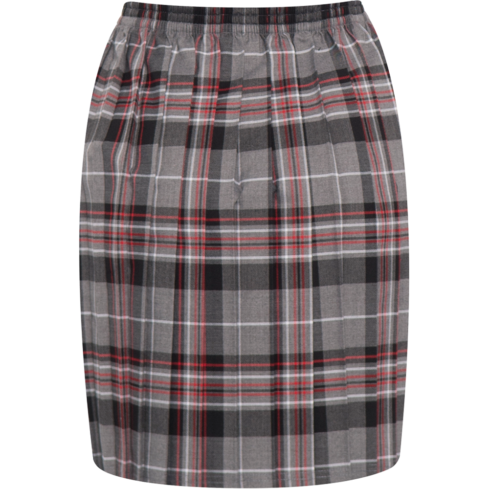 Skye Tartan Skirt (Banner)