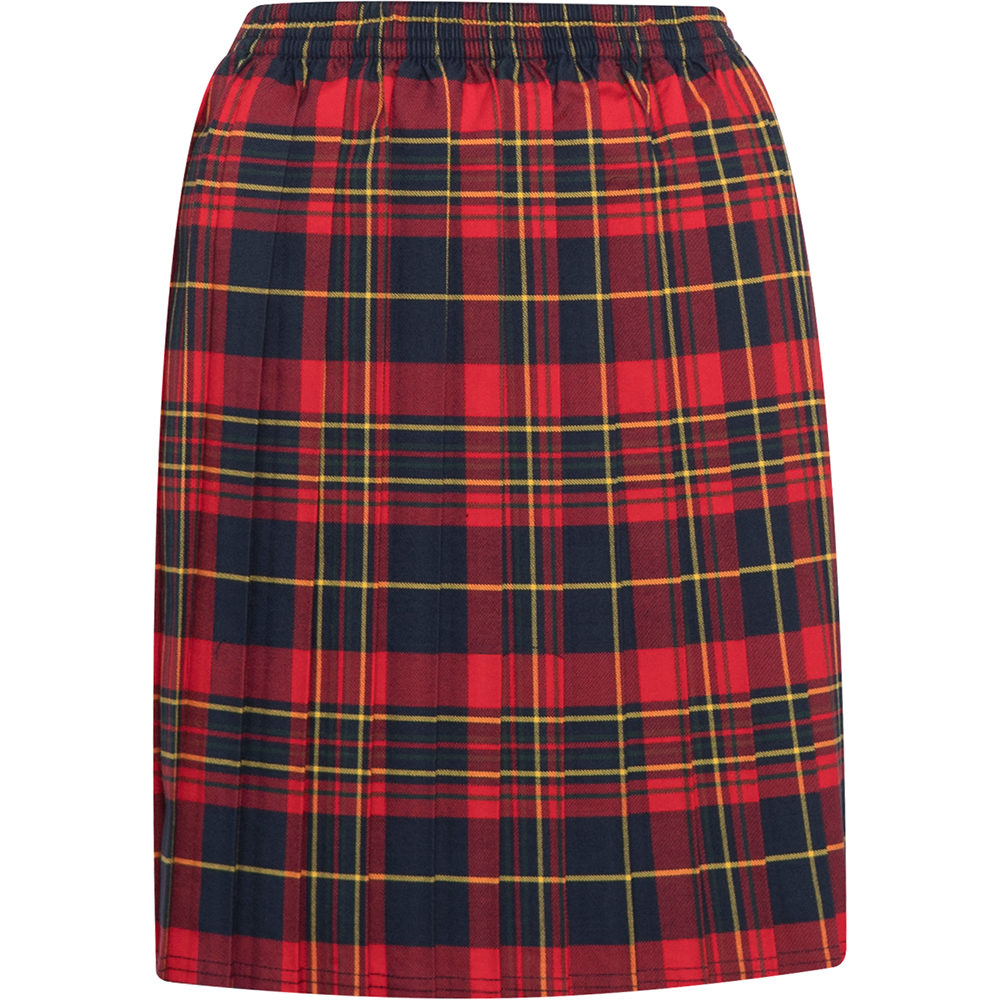 Skye Tartan Skirt (Banner)