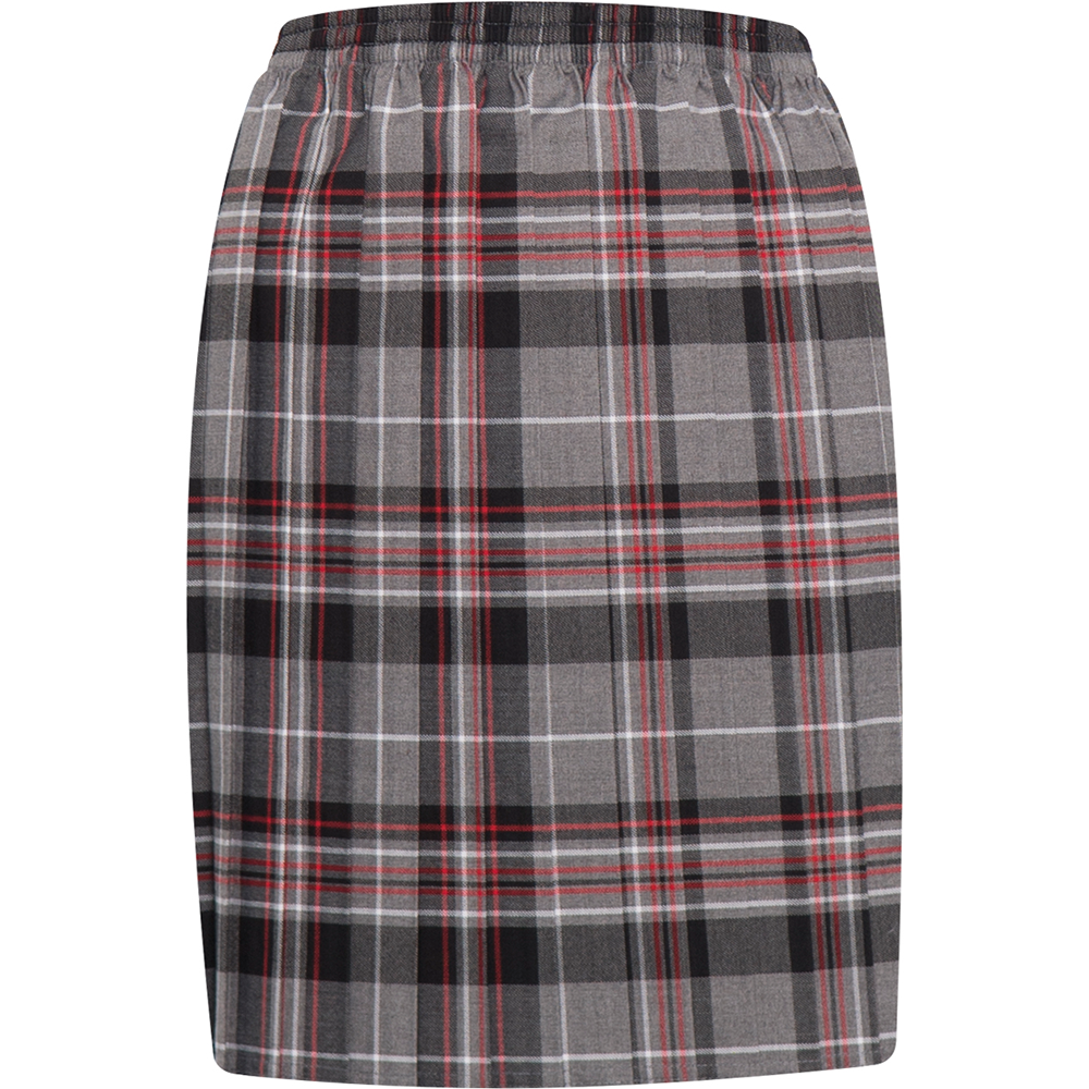 Skye Tartan Skirt (Banner)