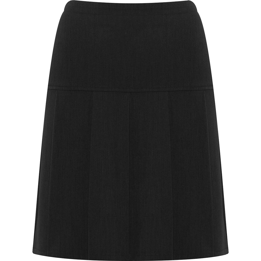 Charleston Pleated Skirt (Banner)