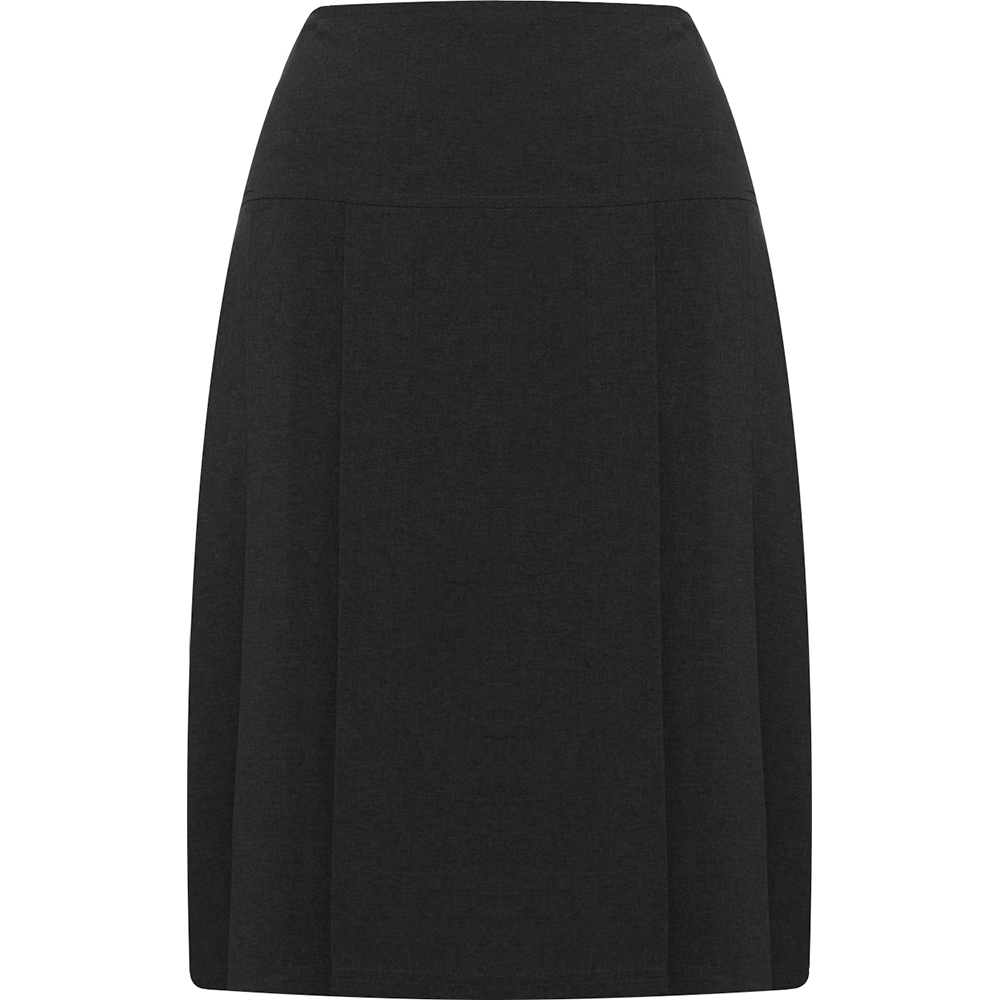 Henley Pleated Skirt (Banner)