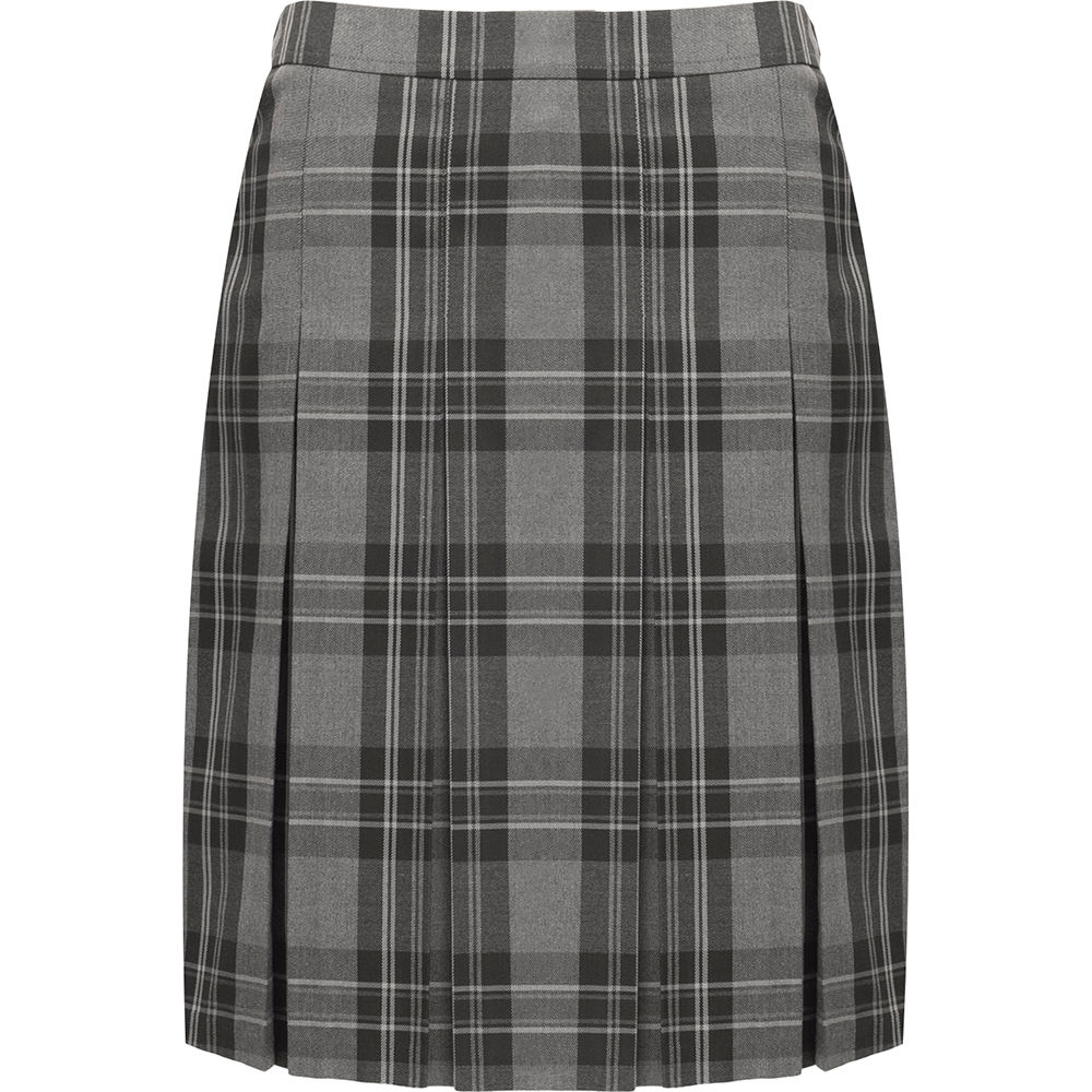 Tartan Pleated Skirt (Banner)