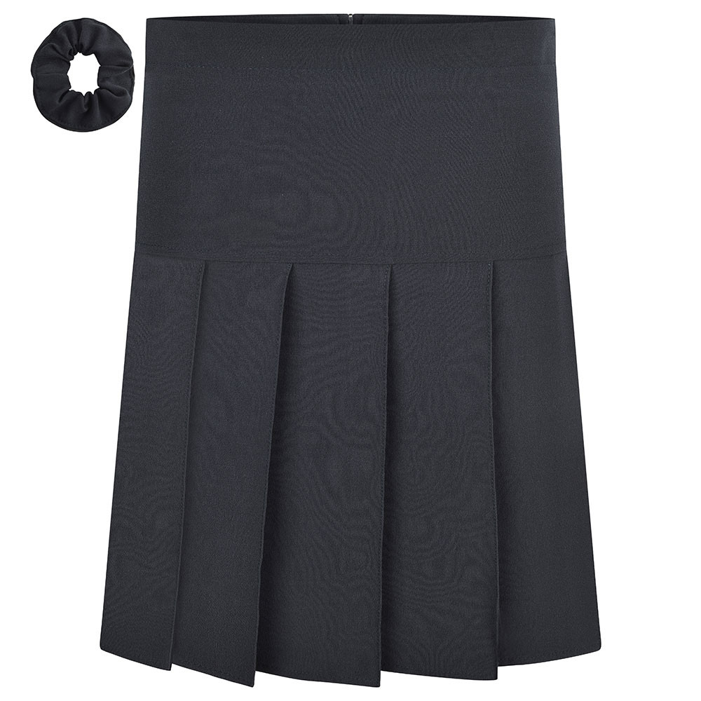 Stretch Pleated Skirt Regular Length (Zeco)