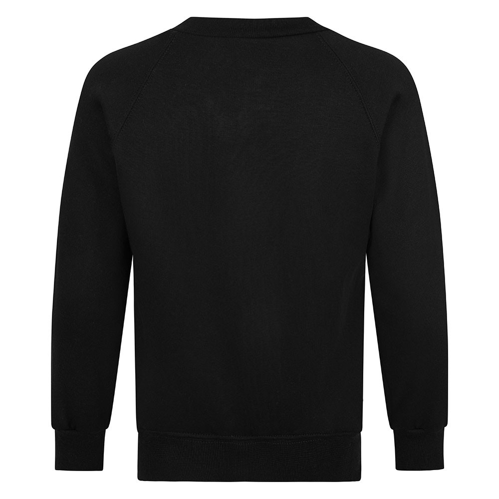 Boy & Girls V-Neck Sweatshirt (Zeco)