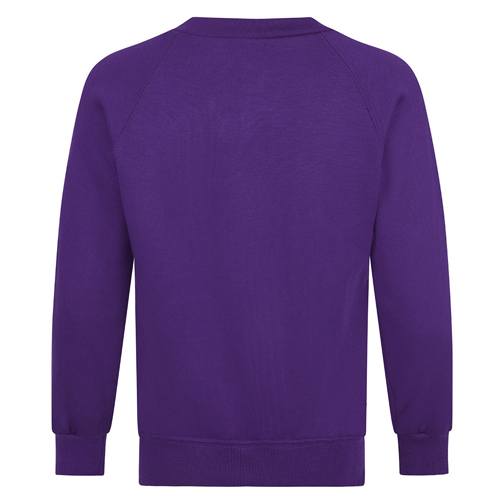 Boy & Girls V-Neck Sweatshirt (Zeco)