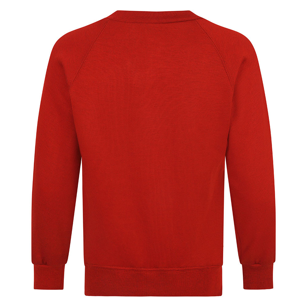 Boy & Girls V-Neck Sweatshirt (Zeco)