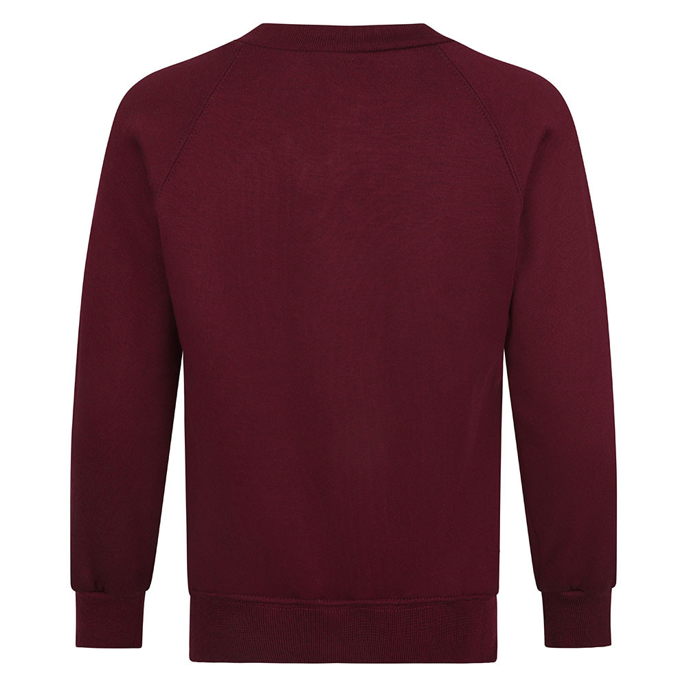 Boy & Girls V-Neck Sweatshirt (Zeco)