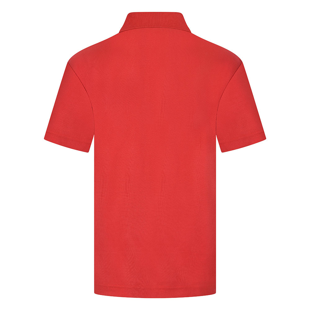 School Polo Shirt 16 Different Colours (Zeco)