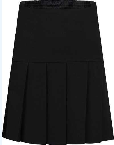 Girls Fan Pleat Skirt (Innovation)