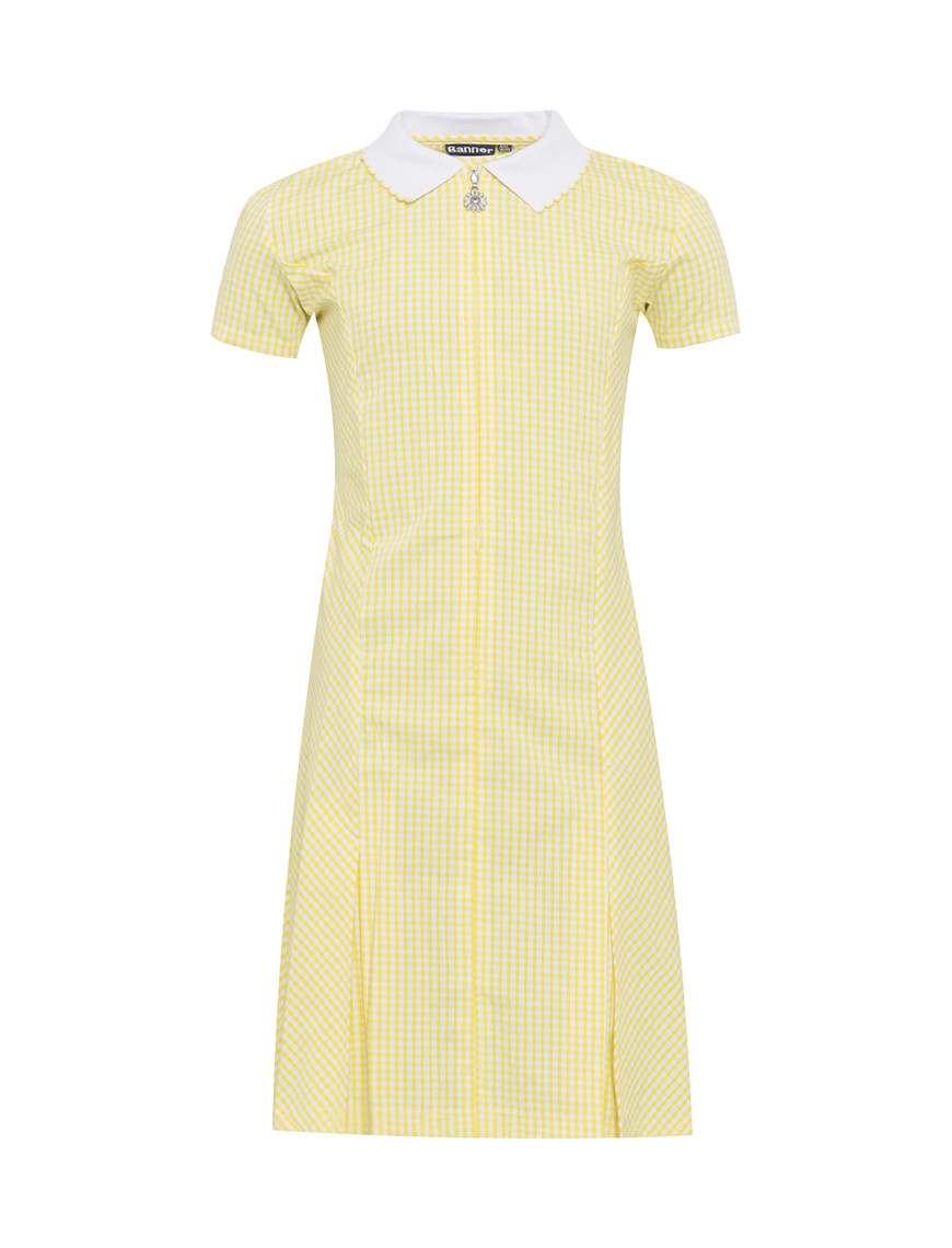 Avon Zip-Fronted Corded Gingham Dress (Banner)