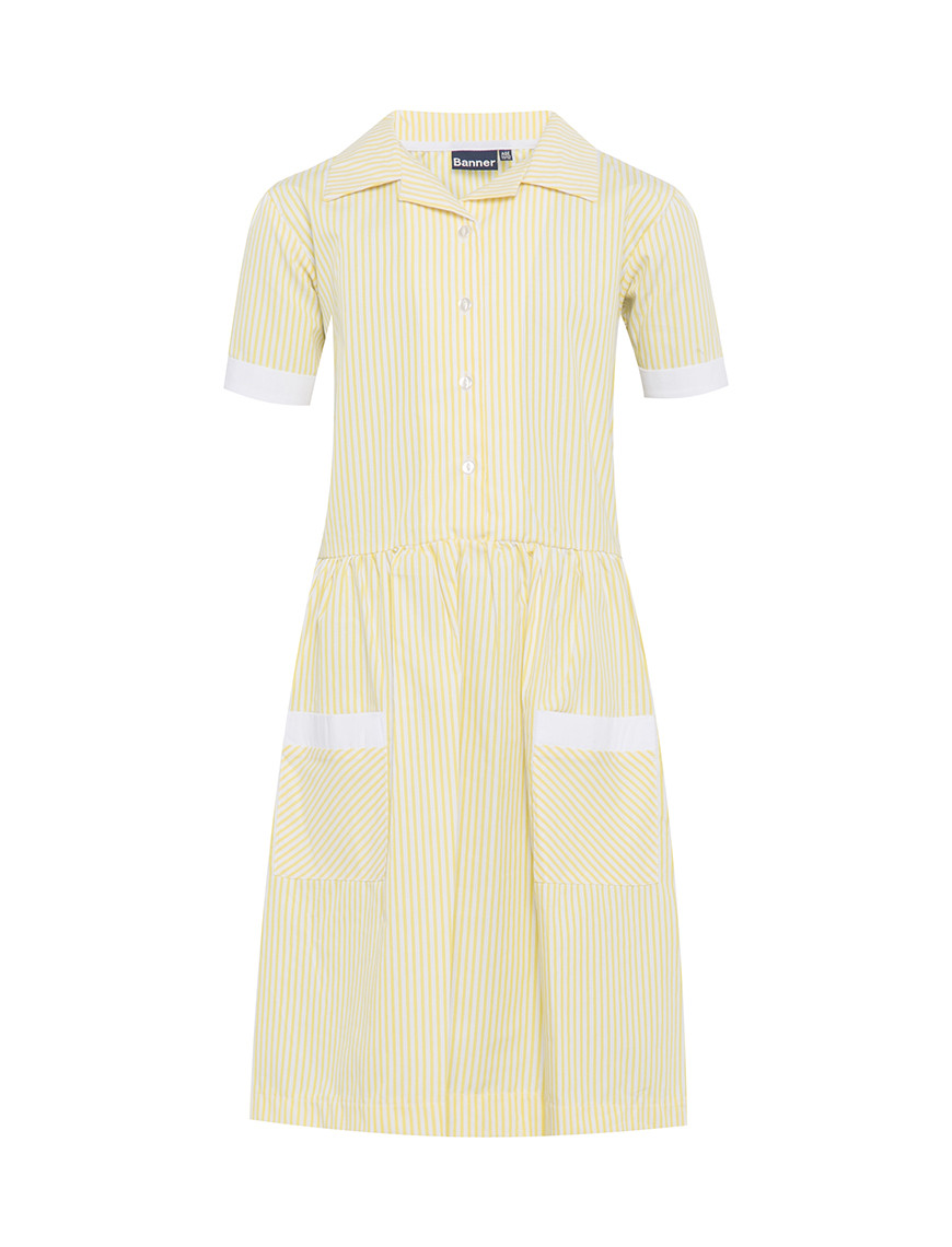 Kinsale Button Front Corded Stripe Dress (Banner)