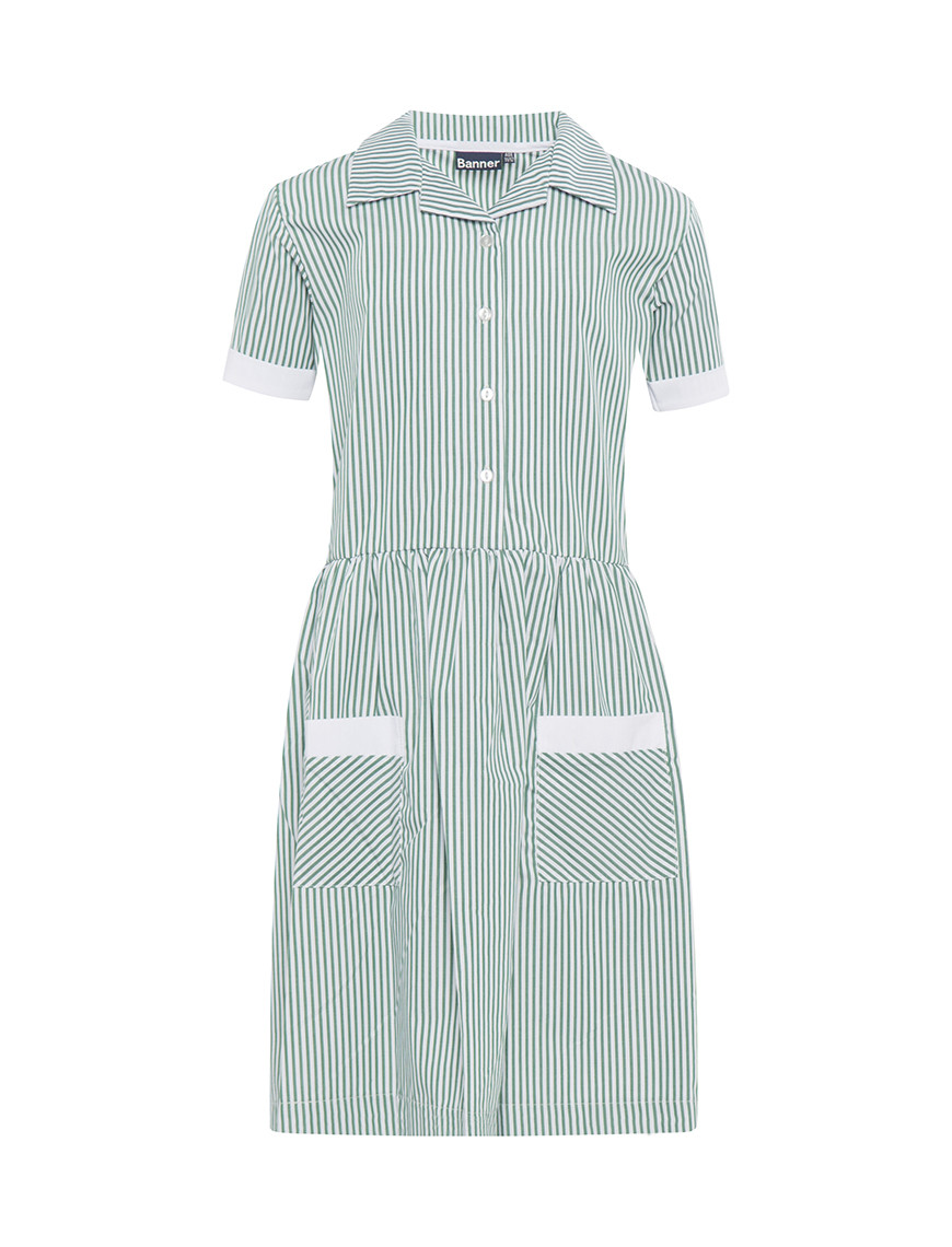 Kinsale Button Front Corded Stripe Dress (Banner)
