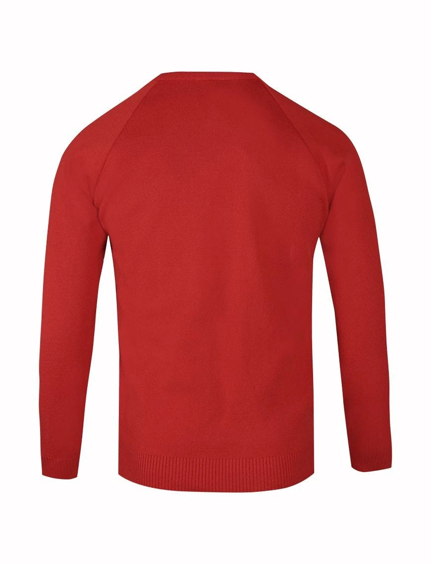 50/50 V-Neck School Jumper (Banner)