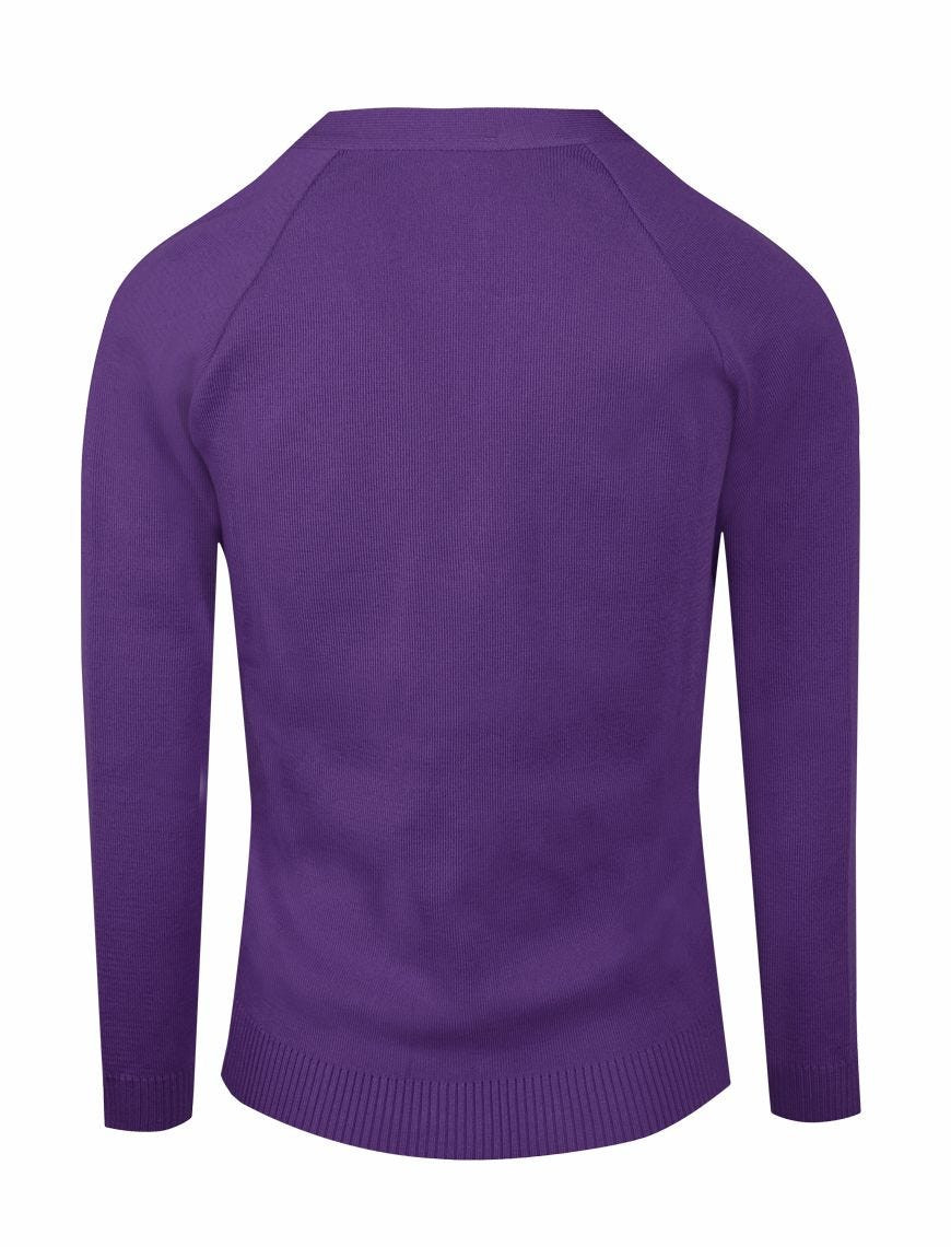 Premier School Cardigan (Banner)