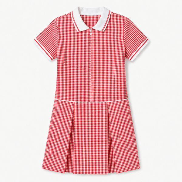 Girls' Gingham Zip Front School Dress (Ayra)