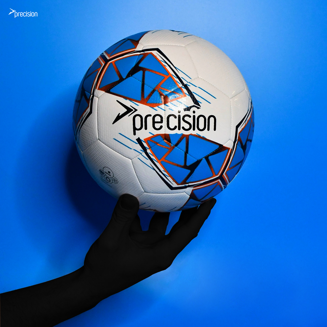 Precision Fusion IMS Training Ball