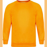 Crew Neck Sweatshirts (Innovation)