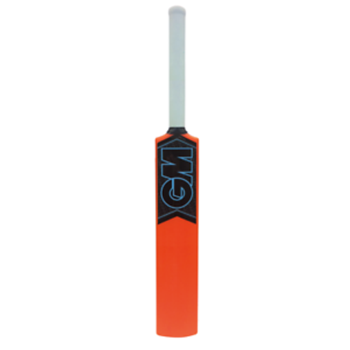 GM Striker Cricket Bat (4600A101)