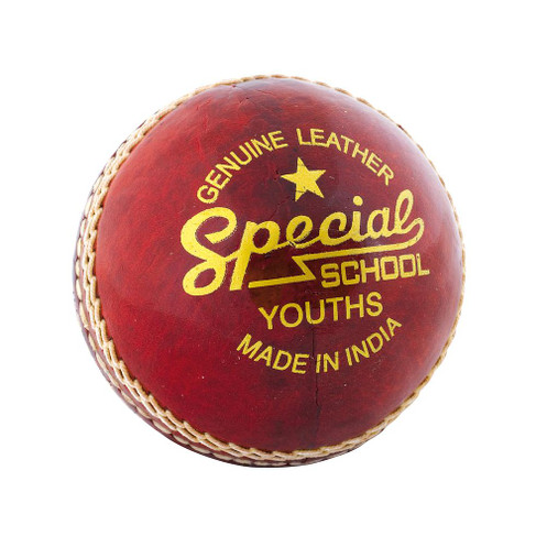 Readers Special School Cricket Ball (CTB108Y) 