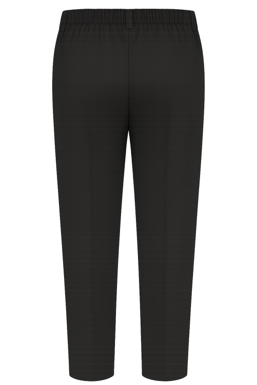 A high-resolution back view image of boys’ black plus size school trousers on a transparent background, ideal for product listings or promotional content. These trousers are tailored with a wider fit and an elasticated waistband across the back, ensuring comfort throughout the school day. The design features a clean silhouette with no back pockets, allowing for a neat, low-maintenance uniform option. Crafted in a rich black fabric that meets most school uniform standards, the trousers offer a sturdy, reliable fit for active students.