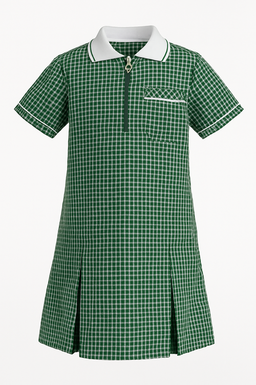 Smart and uniform-friendly, this bottle green gingham dress combines breathable fabric with classic features like a Peter Pan collar, front zip, and pleated skirt for practical schoolwear style.