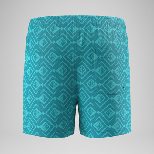 Speedo Print Volley 13 Inch