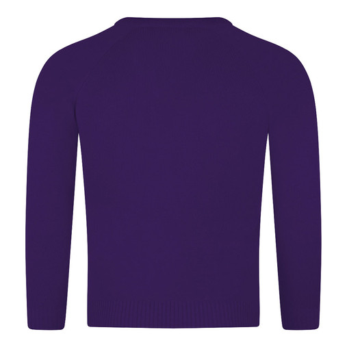 Knitted V-Neck Jumper (Zeco) (KJ3114) Purple