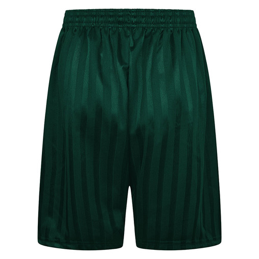 Shadow Stripe Shorts (Zeco) (BS3082shadow) Green