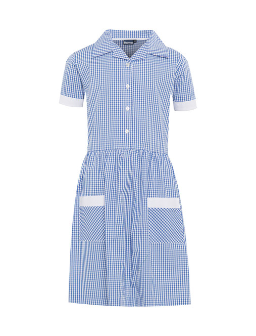 Ayr Button Front Corded Gingham Dress (Banner) (913108)